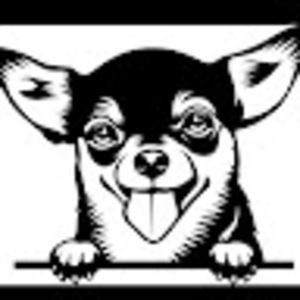 Meet your Posher, Denis